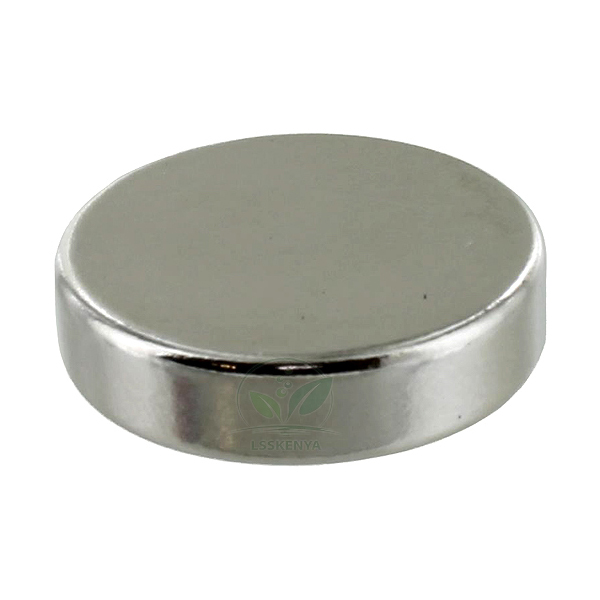 Neodymium Discs