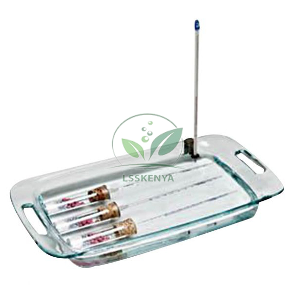 Cellular Respiration