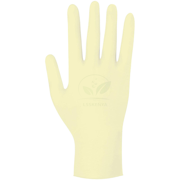 Gloves Exam Latex Without Powder