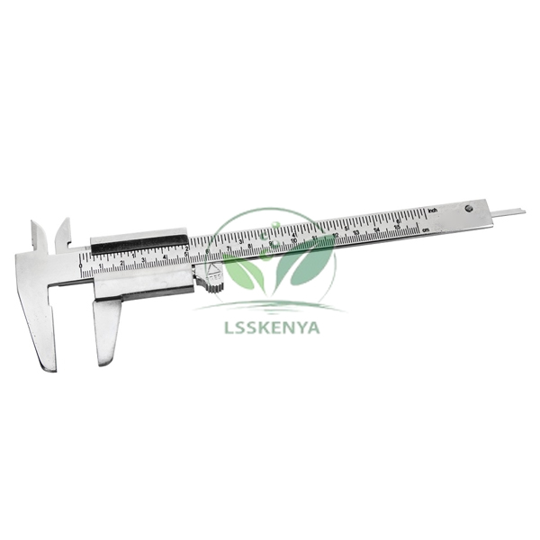 Caliper Vernier