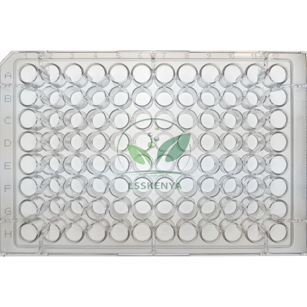 Microtiter Plate