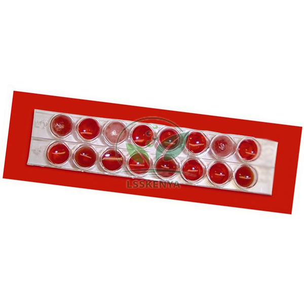 Blood Typing Kit