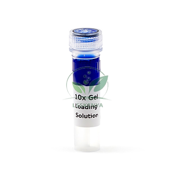 Gel Loading Solution